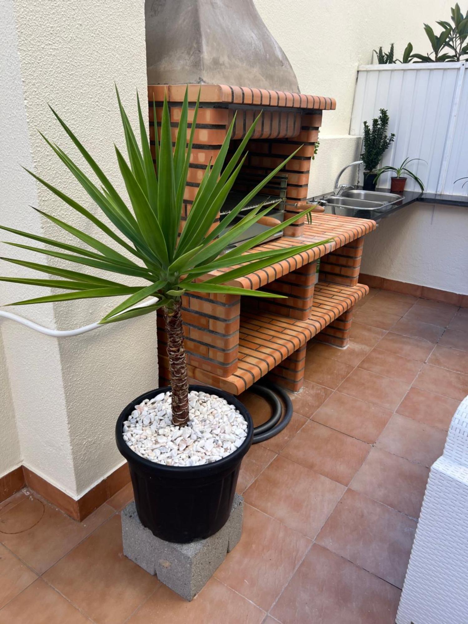 Apartamento Para Ferias 2 Minutos Da Praia Costa de Caparica Eksteriør bilde